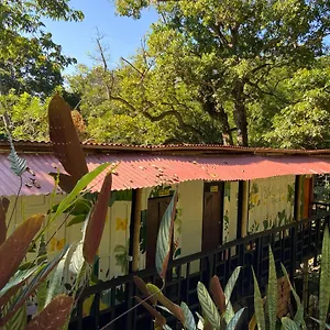  Hostel Mariposas Kolumbien